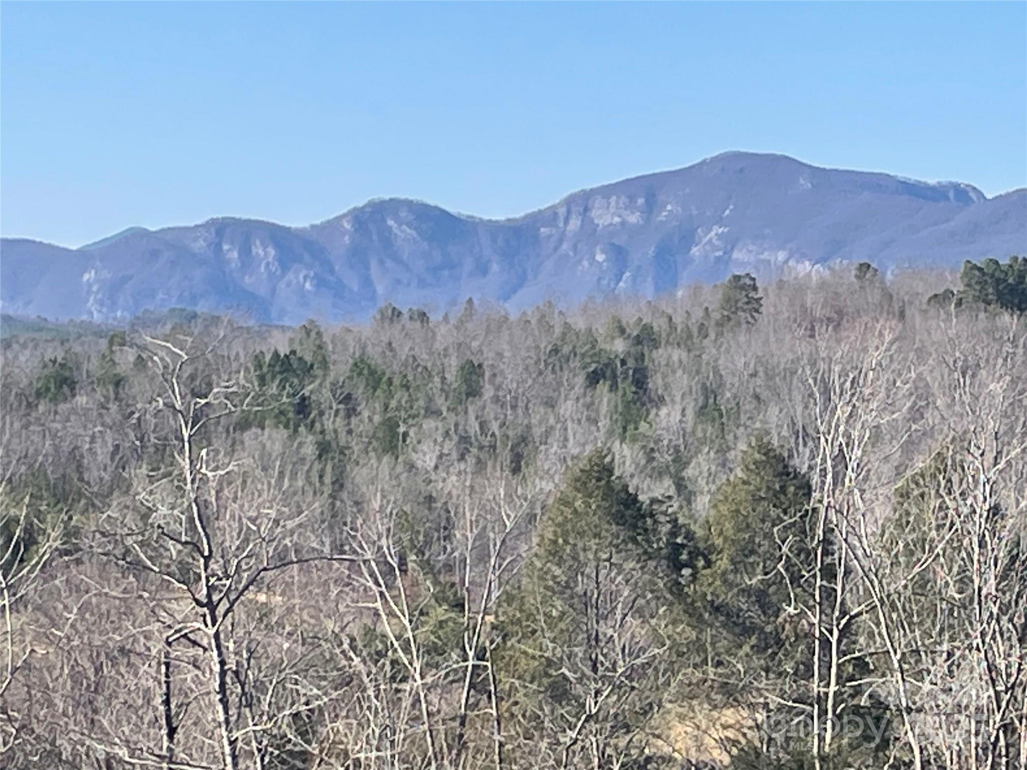 Lot 17 S Cross Creek Trail Property Photo 11