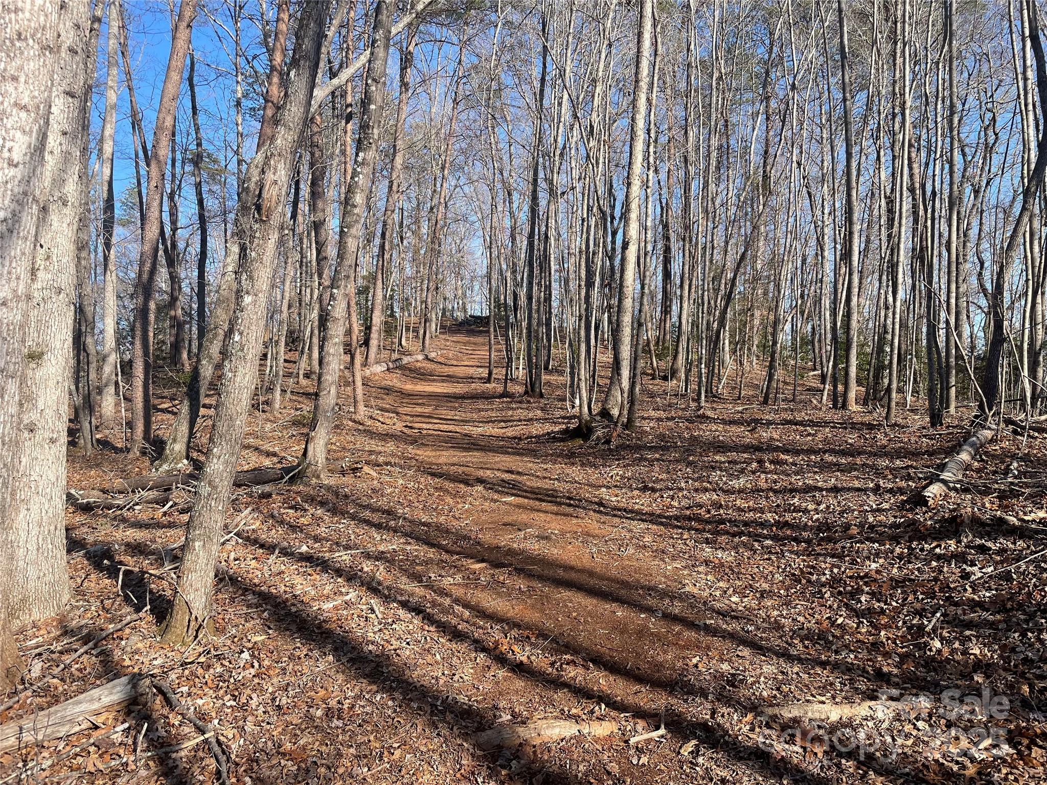 Lot 17 S Cross Creek Trail Property Photo 16