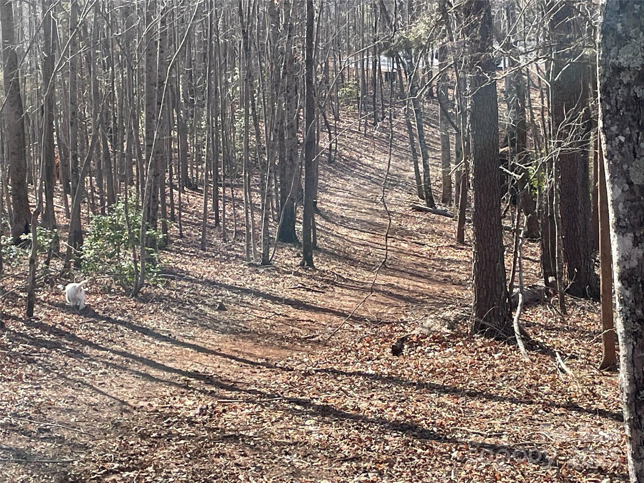 Lot 17 S Cross Creek Trail Property Photo 17