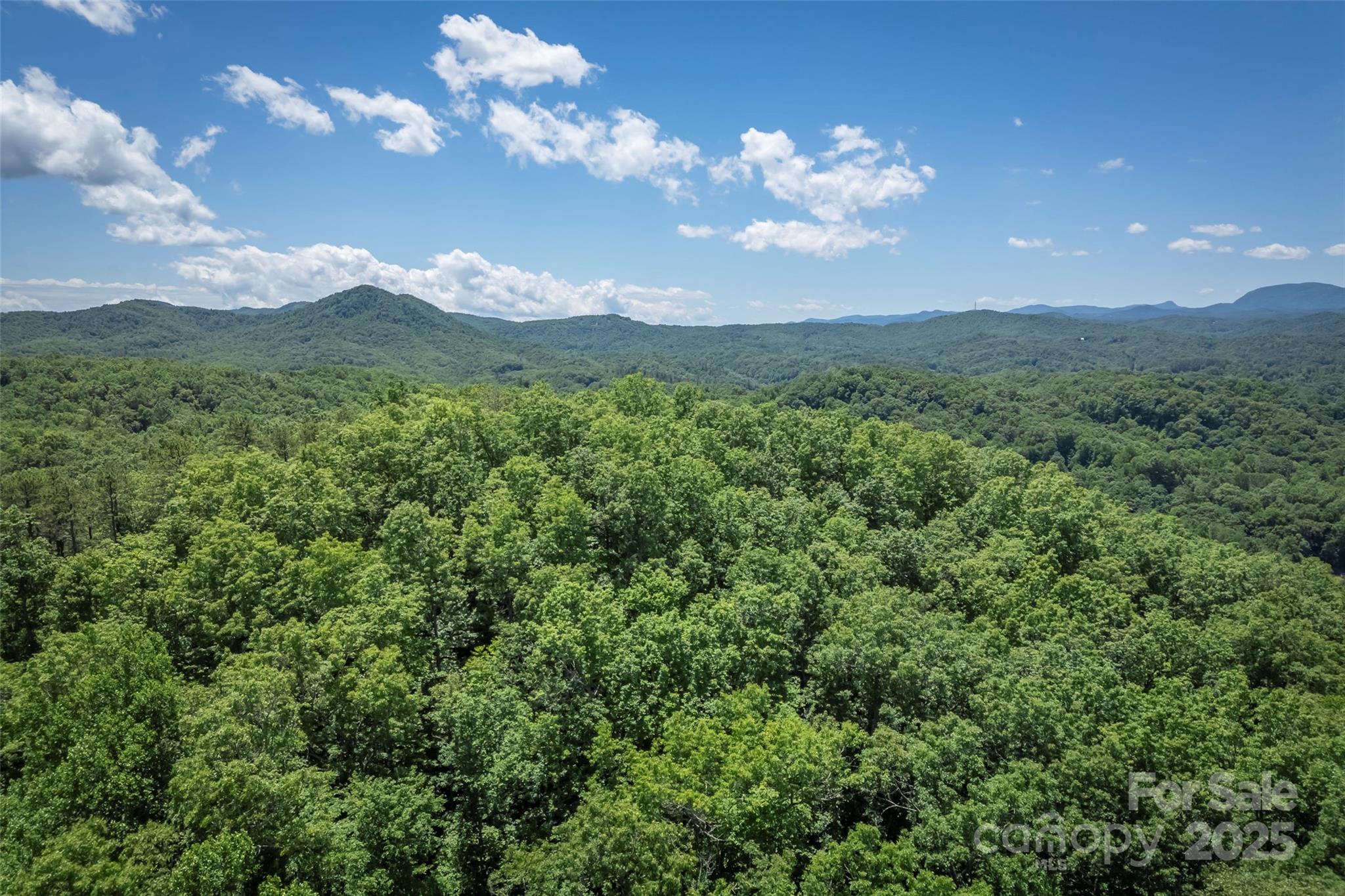Tbd Girl Scout Camp Road Property Photo 1