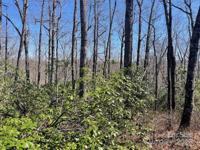 Tbd Girl Scout Camp Road Property Photo 5