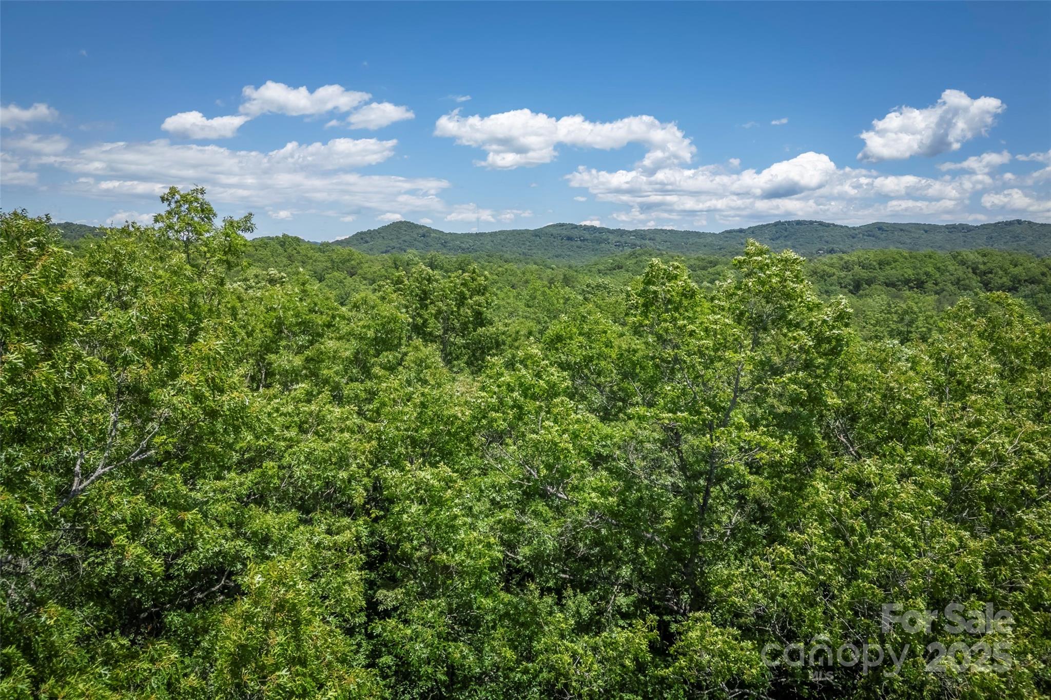 Tbd Girl Scout Camp Road Property Photo 6