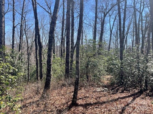 Tbd Girl Scout Camp Road Property Photo 7