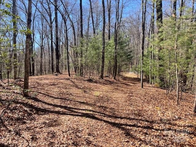 Tbd Girl Scout Camp Road Property Photo 8