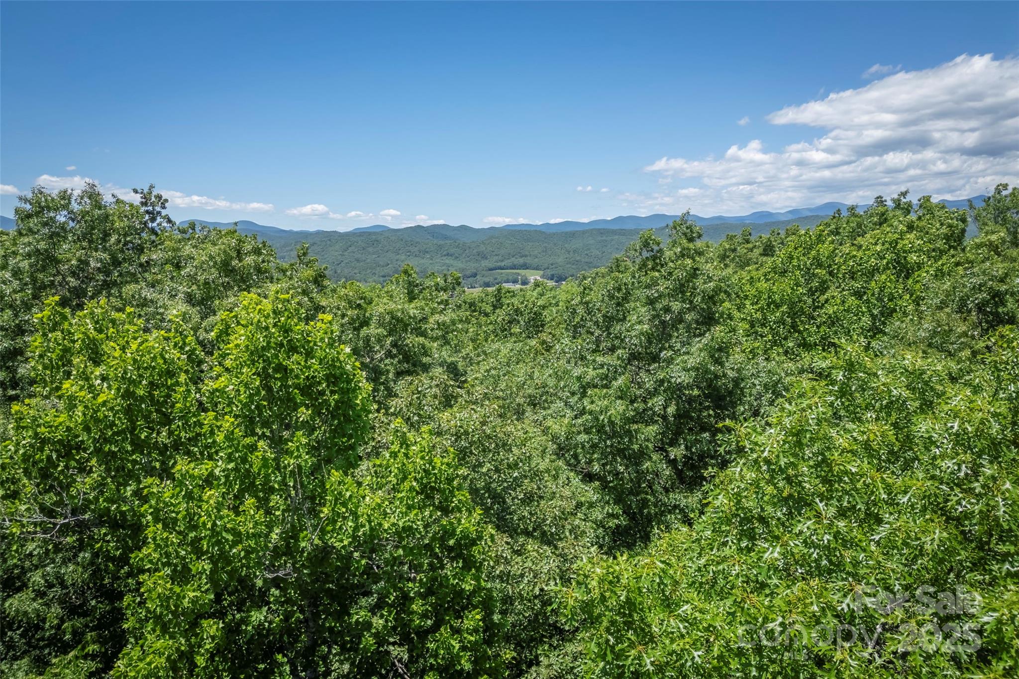 Tbd Girl Scout Camp Road Property Photo 9