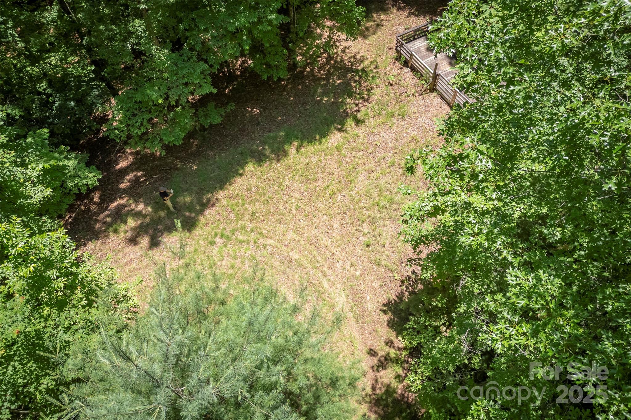 Tbd Girl Scout Camp Road Property Photo 10