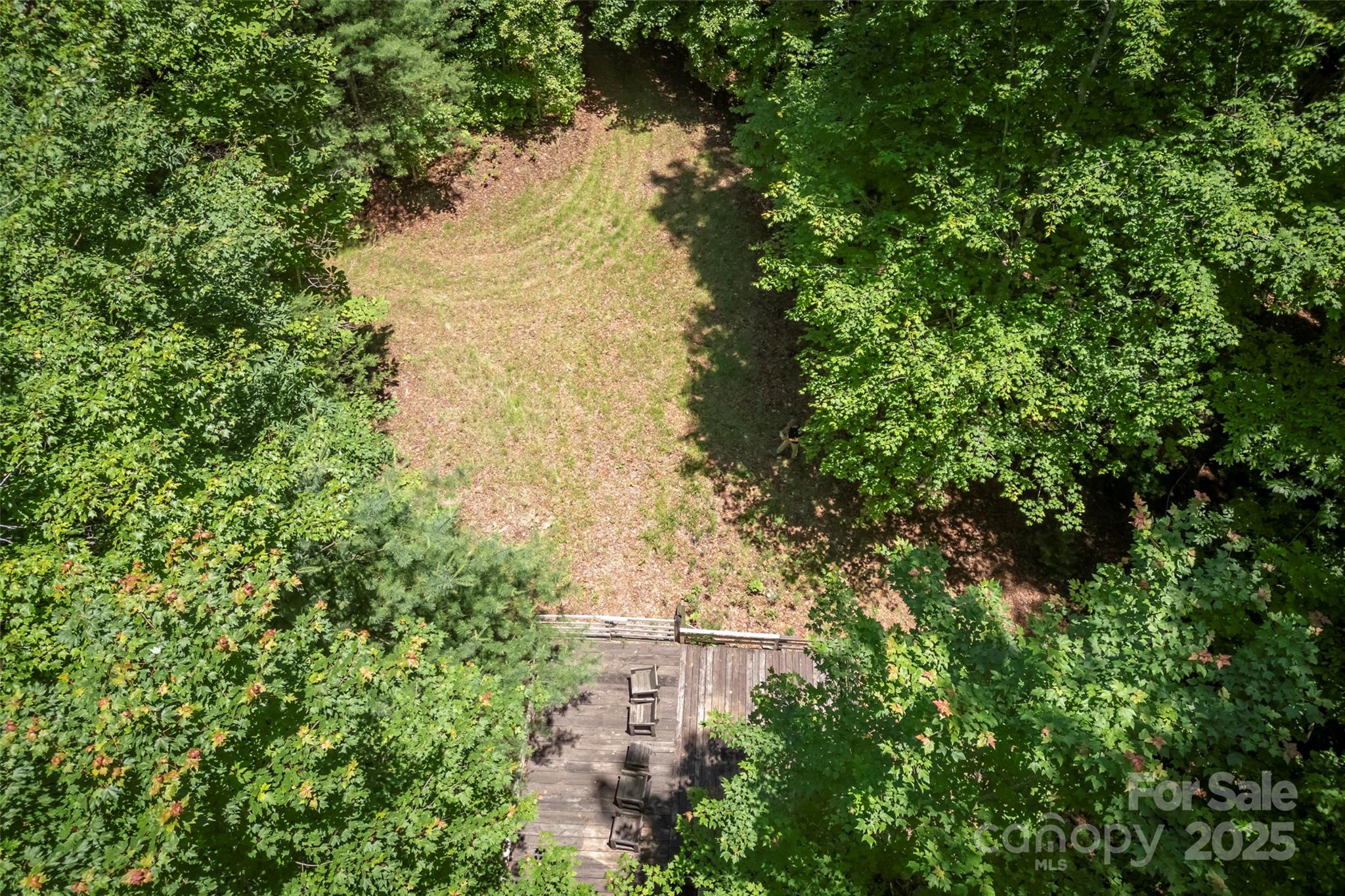 Tbd Girl Scout Camp Road Property Photo 13