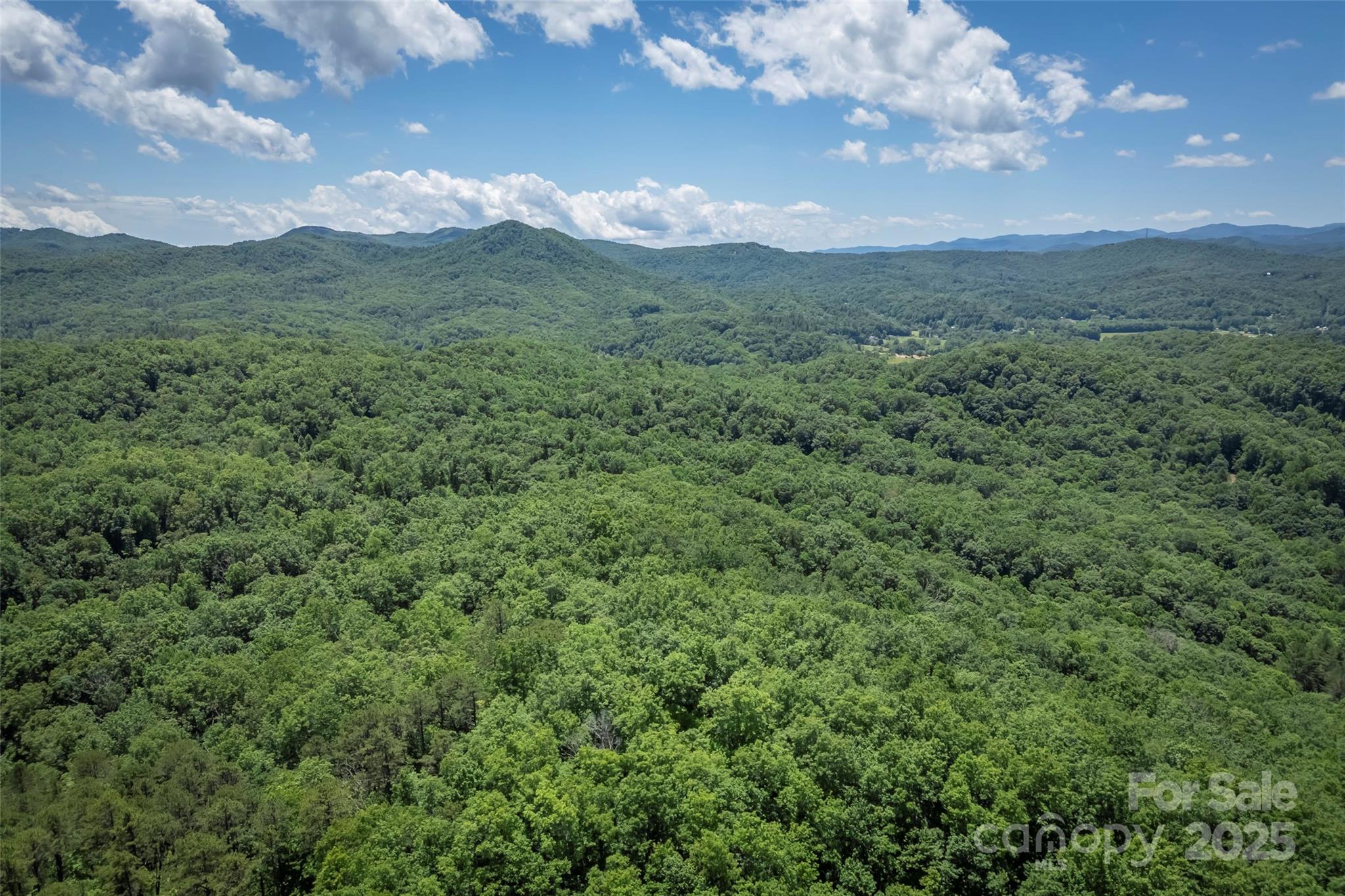 Tbd Girl Scout Camp Road Property Photo 14