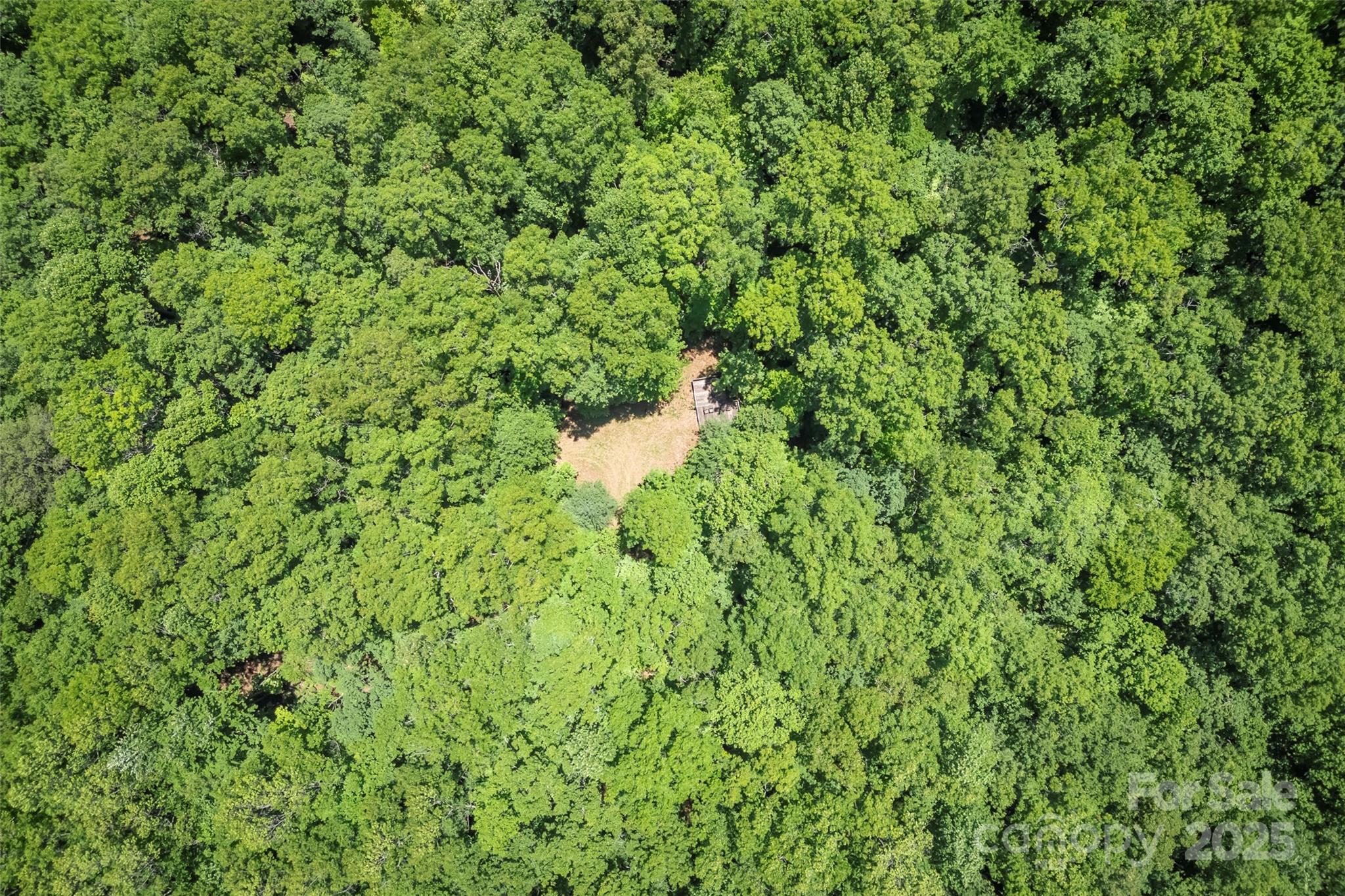 Tbd Girl Scout Camp Road Property Photo 15