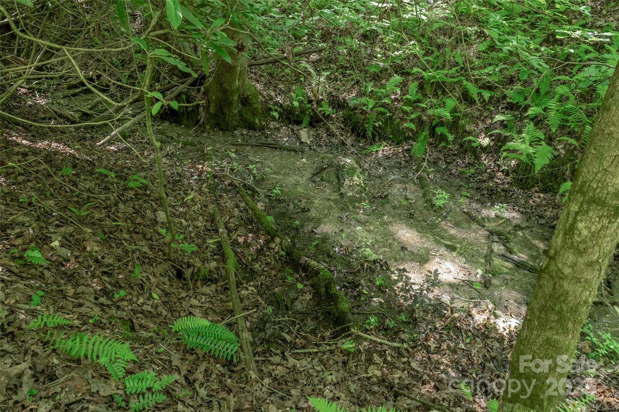 Tbd Girl Scout Camp Road Property Photo 18