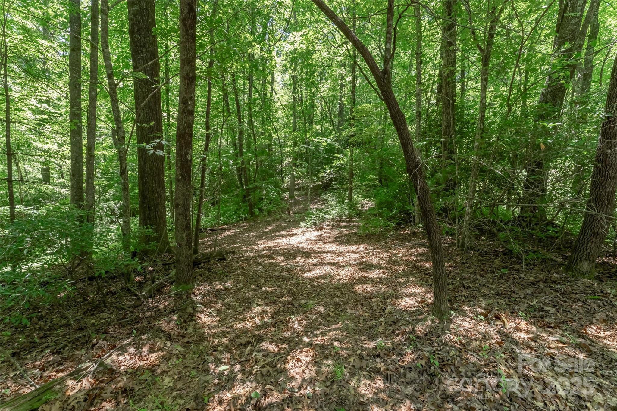 Tbd Girl Scout Camp Road Property Photo 23