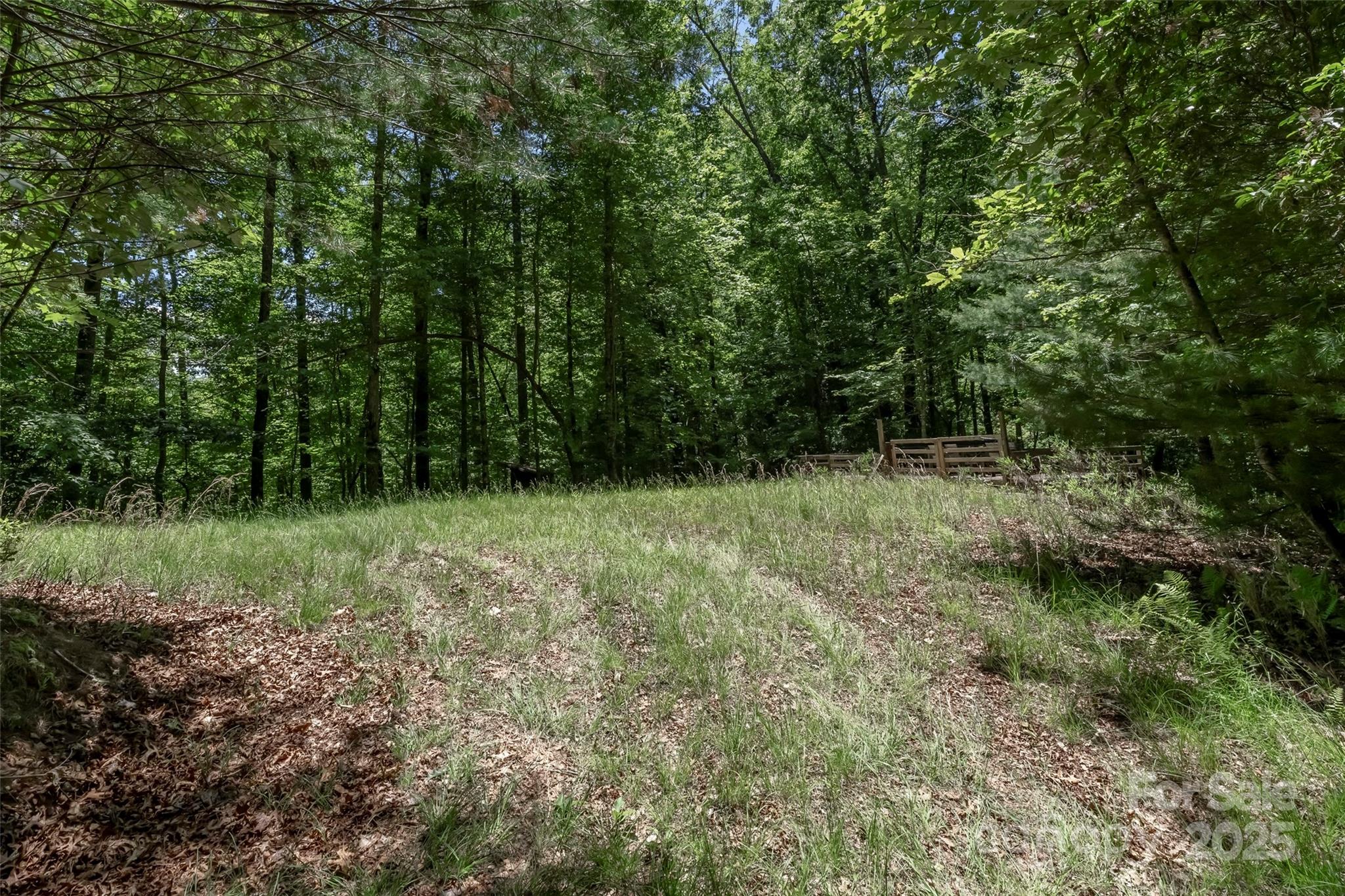 Tbd Girl Scout Camp Road Property Photo 25