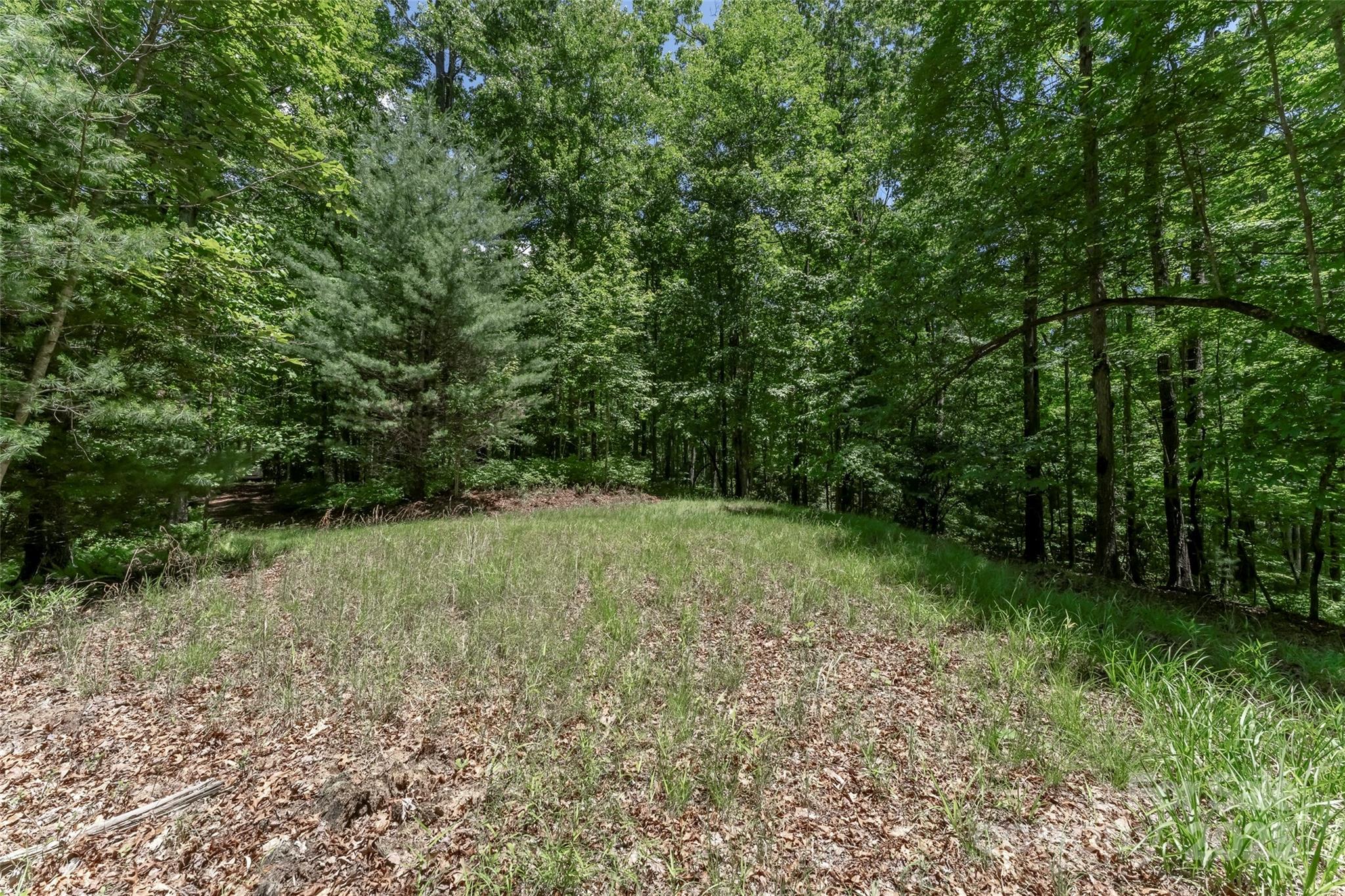 Tbd Girl Scout Camp Road Property Photo 27