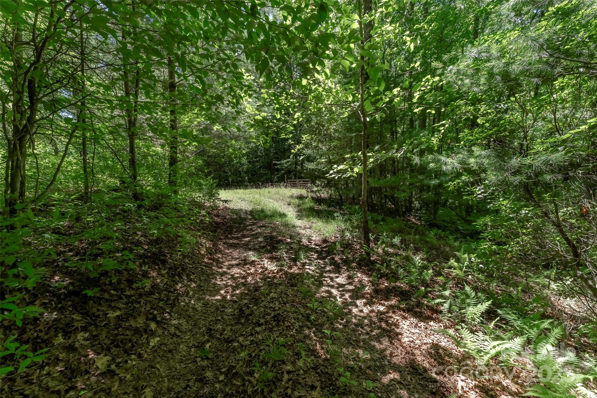 Tbd Girl Scout Camp Road Property Photo 28