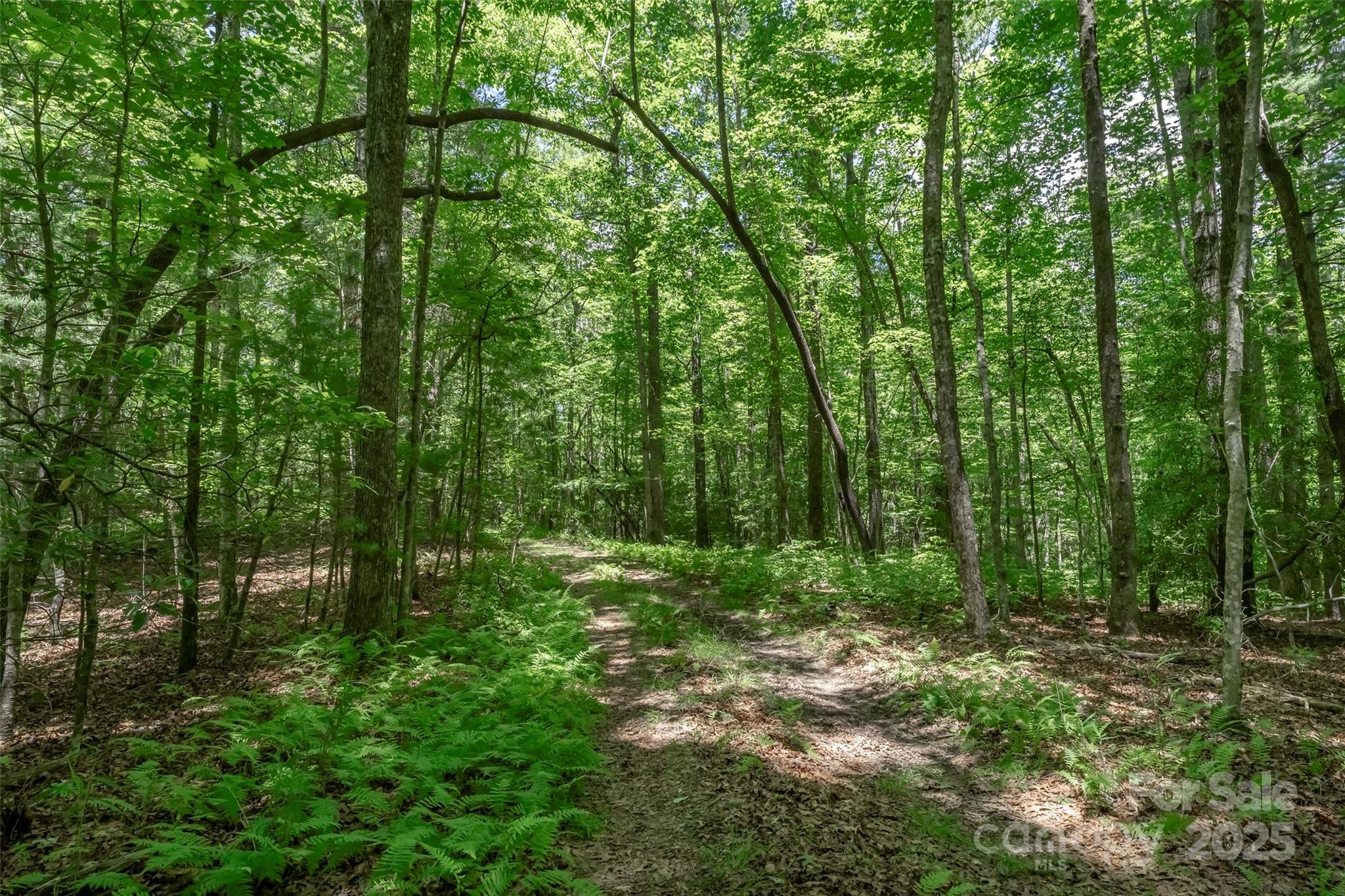 Tbd Girl Scout Camp Road Property Photo 29
