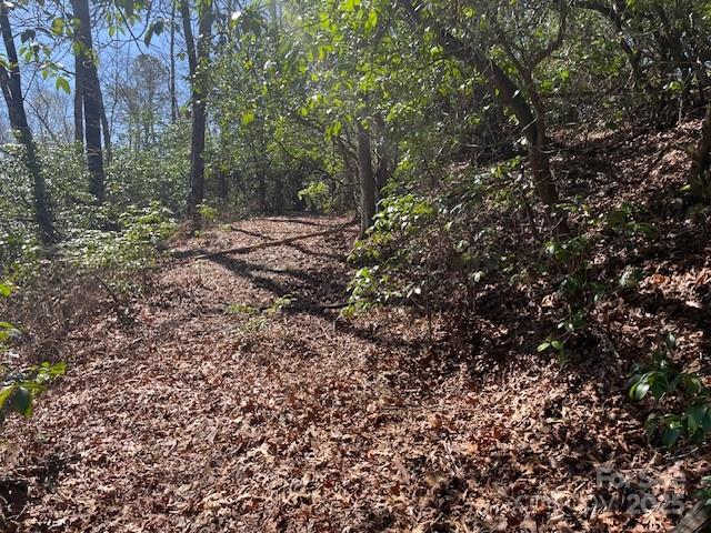 Tbd Girl Scout Camp Road Property Photo 30