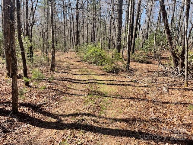 Tbd Girl Scout Camp Road Property Photo 31
