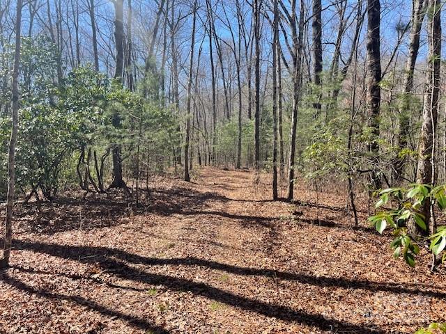 Tbd Girl Scout Camp Road Property Photo 32