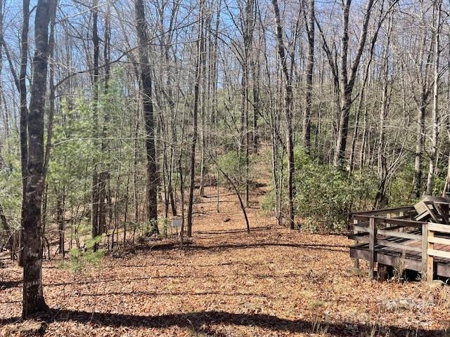 Tbd Girl Scout Camp Road Property Photo 33