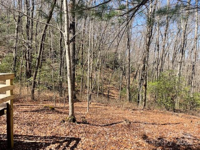 Tbd Girl Scout Camp Road Property Photo 35