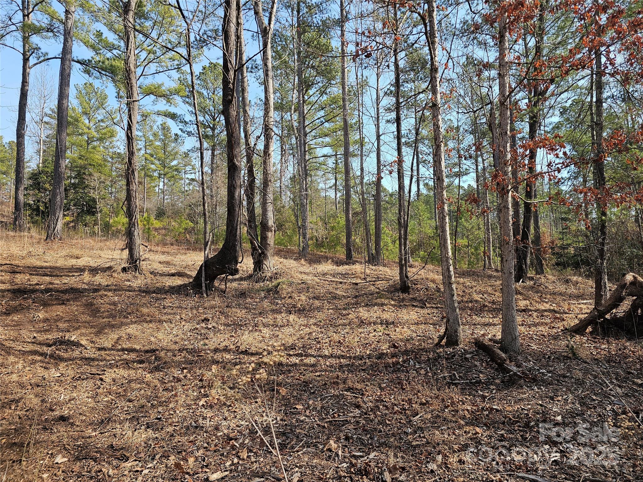 1581 Scenic Lane 259 Property Photo 5