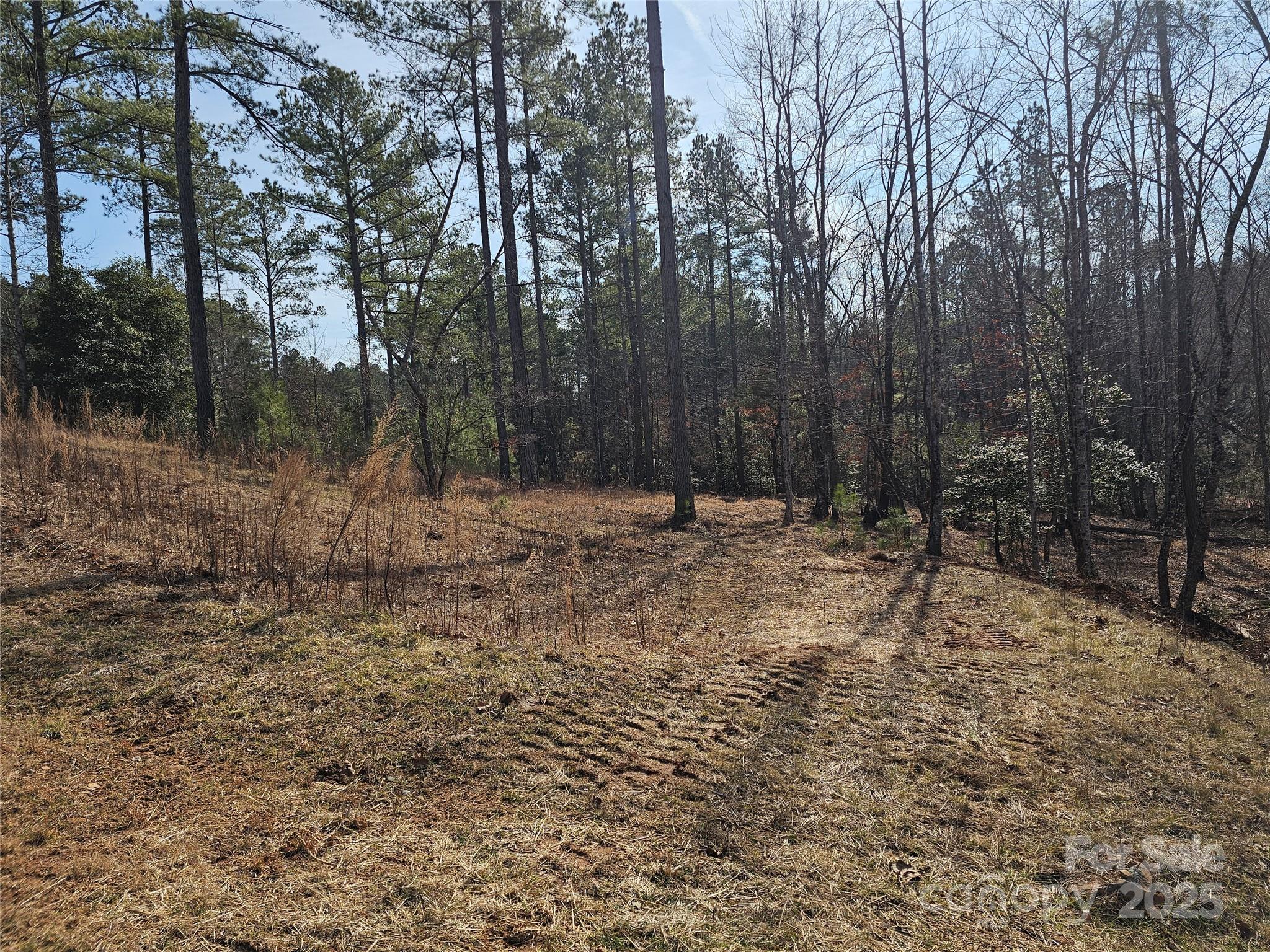 1581 Scenic Lane 259 Property Photo 9