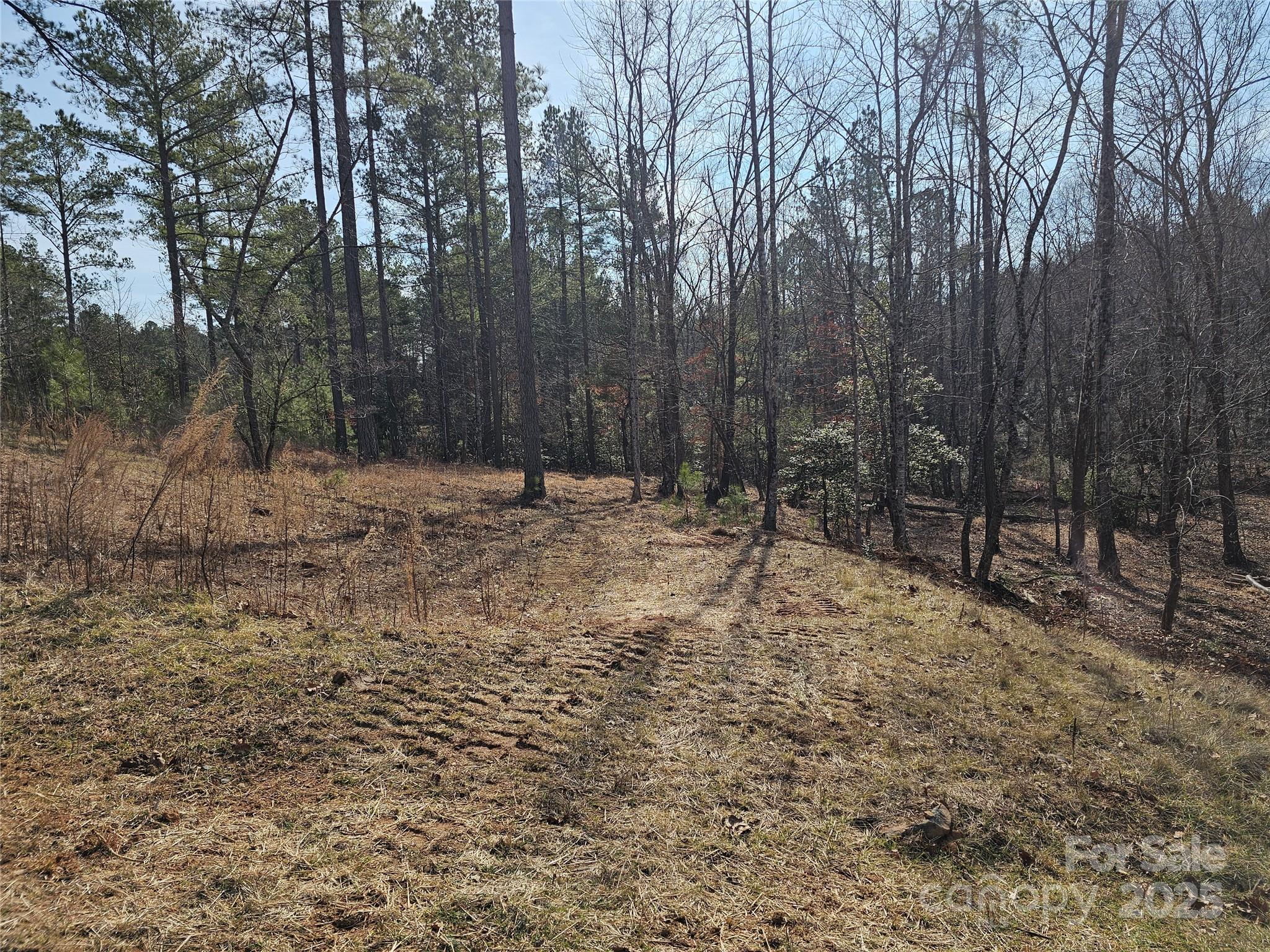 1581 Scenic Lane 259 Property Photo 10