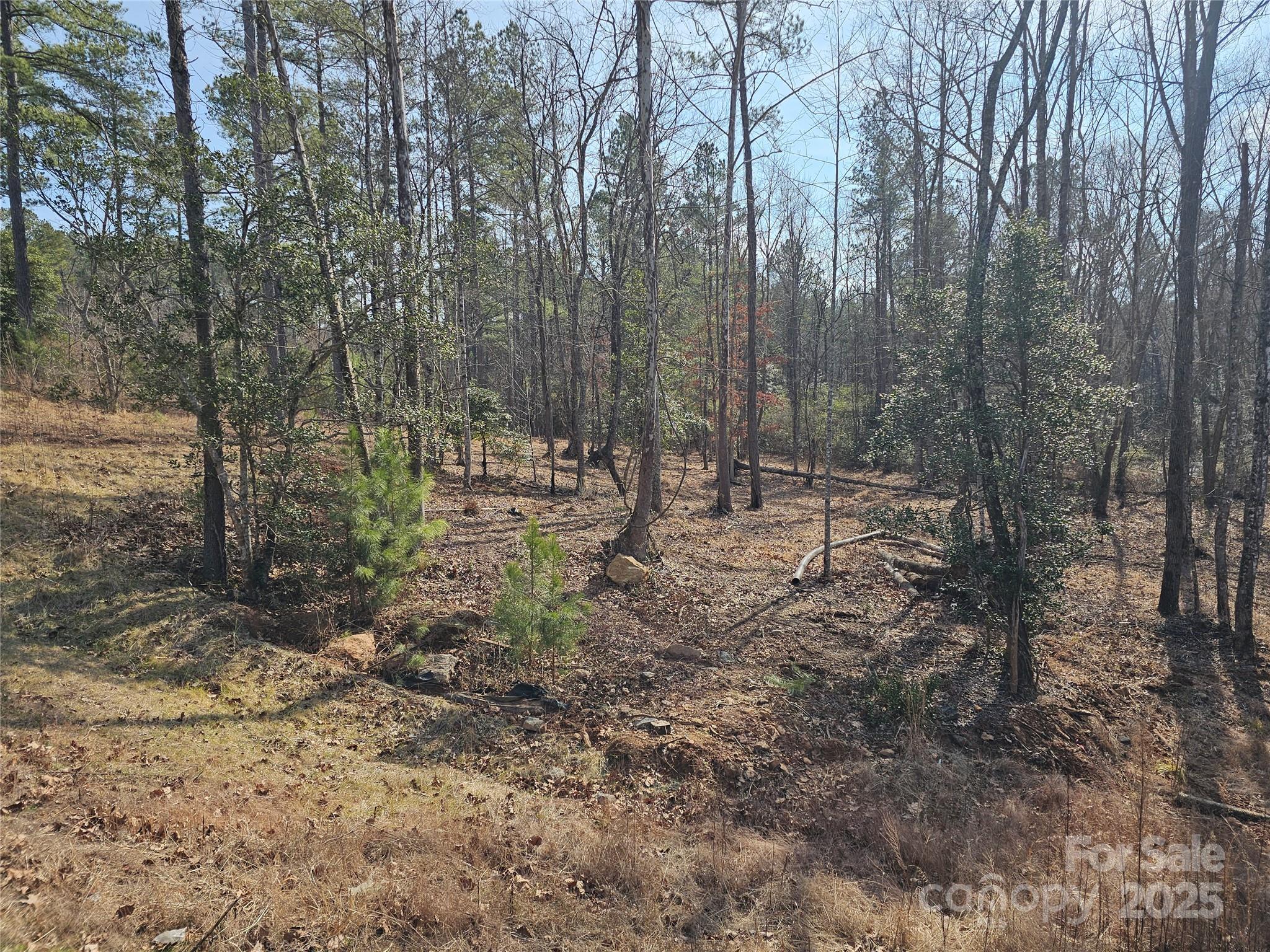 1581 Scenic Lane 259 Property Photo 11