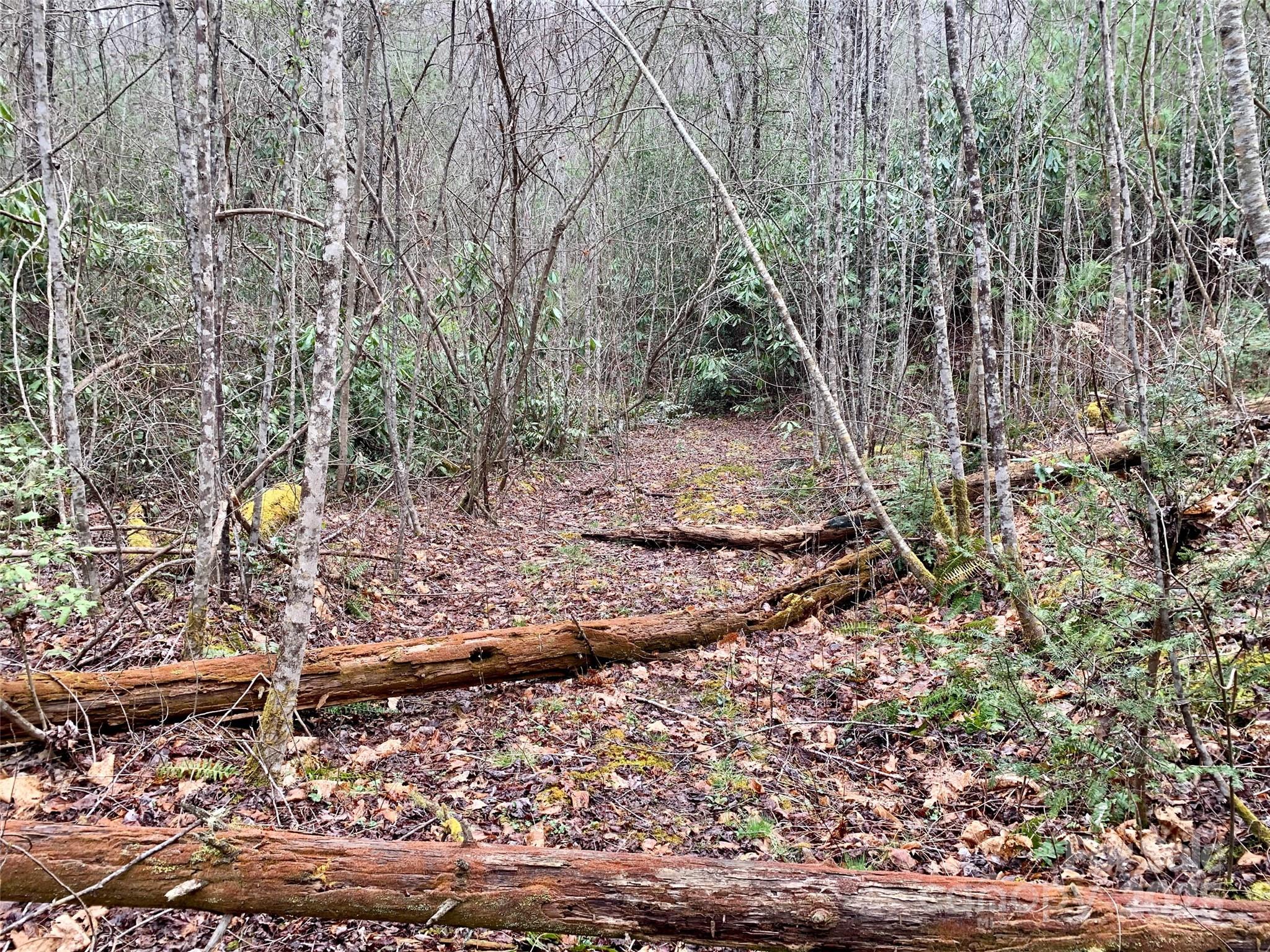 Lot 64 Peppervine Circle Property Photo 4