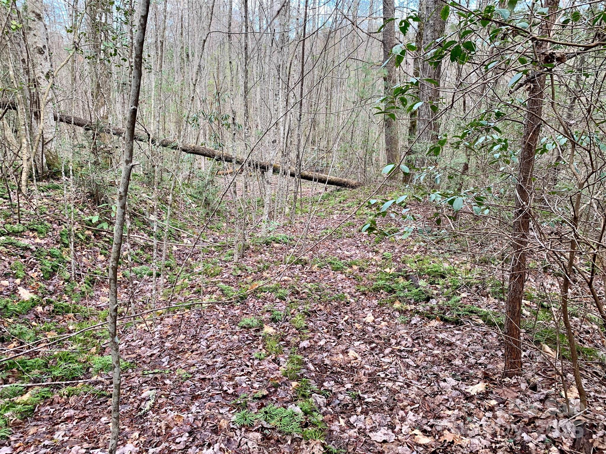 Lot 64 Peppervine Circle Property Photo 8