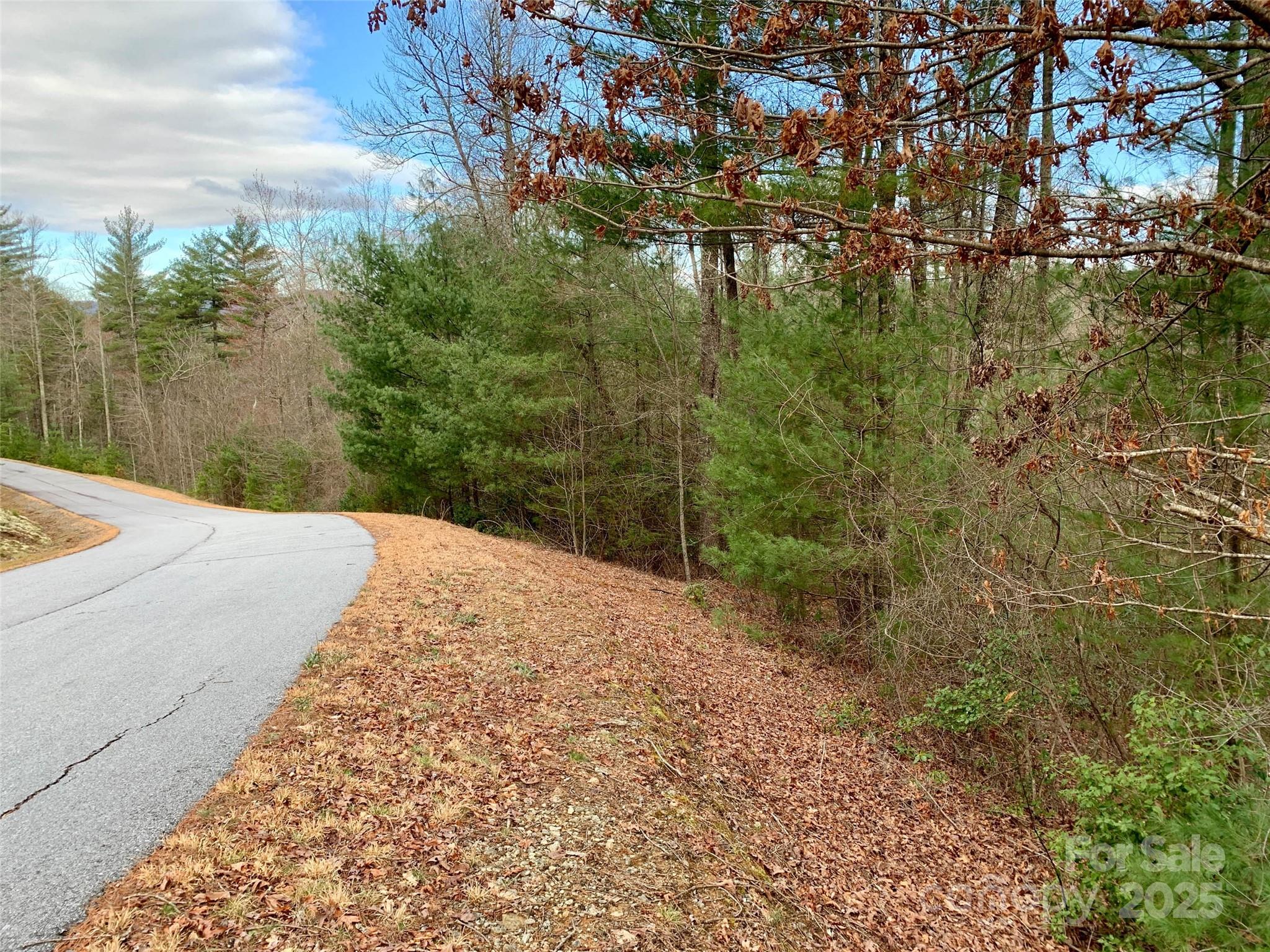 Lot 64 Peppervine Circle Property Photo 9