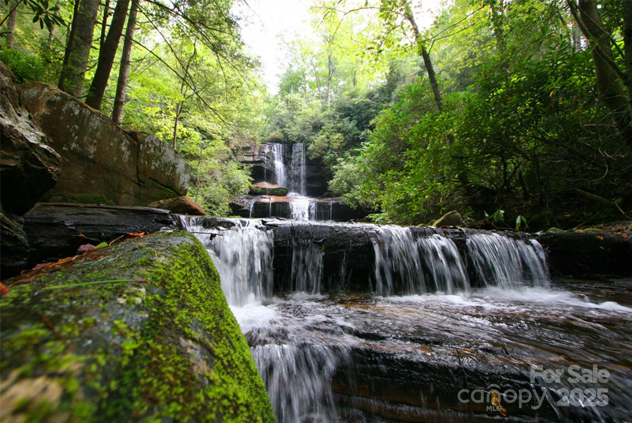 Lot 64 Peppervine Circle Property Photo 12