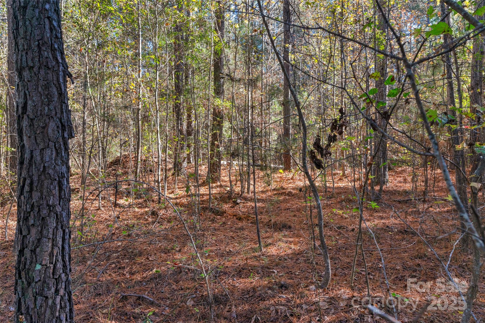 0000 Beaker Road 8 Property Photo 14