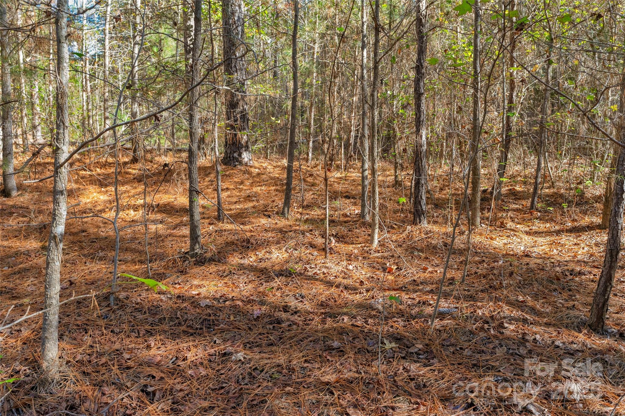 0000 Beaker Road 8 Property Photo 17