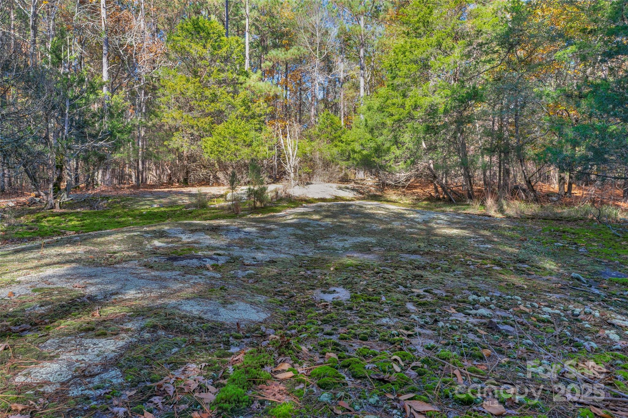0000 Beaker Road 8 Property Photo 23