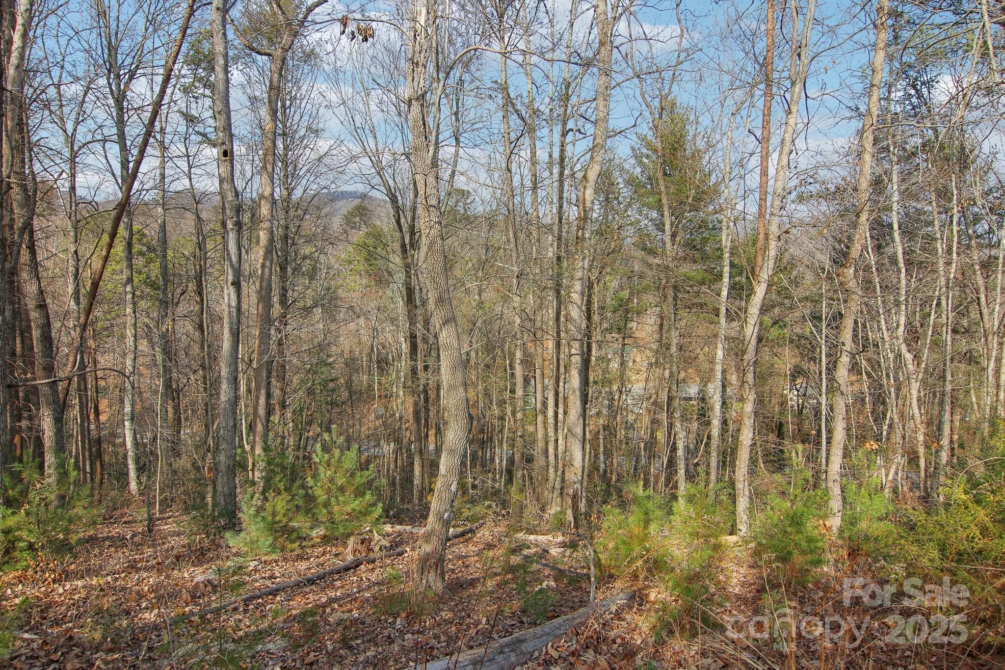 363 Luther Burbank Drive Property Photo 40