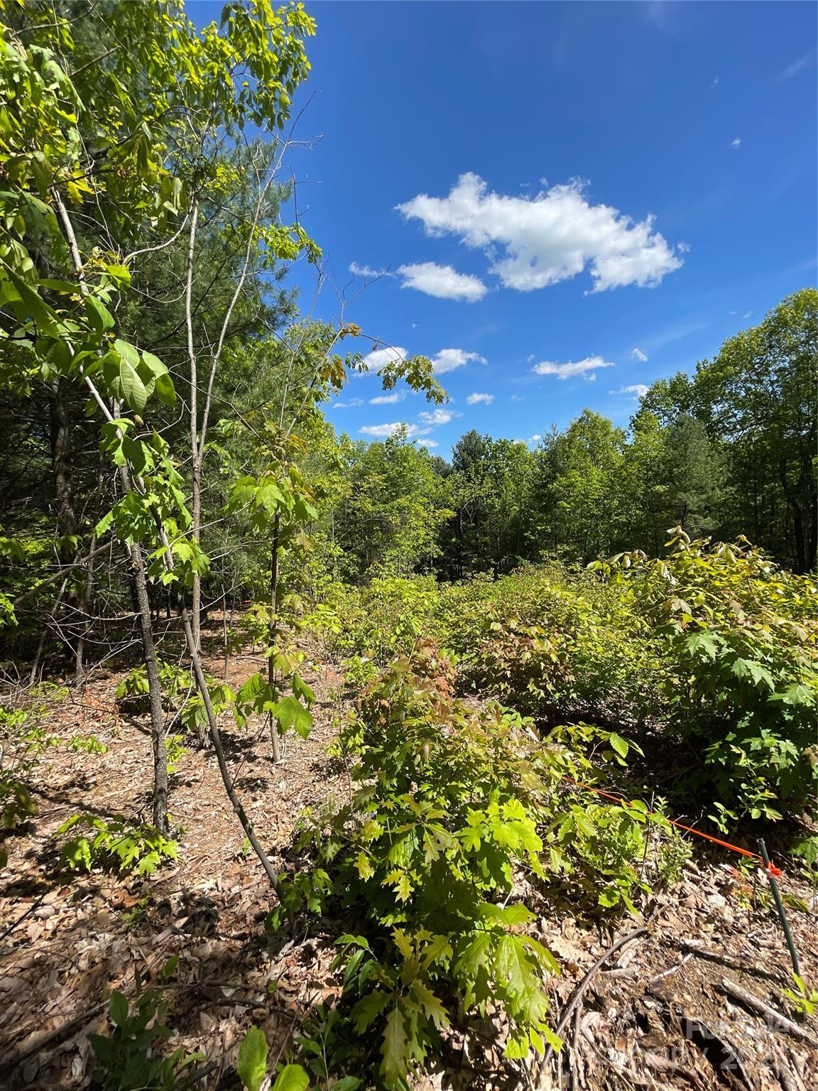 0000 Overlook Drive 26-r Property Photo