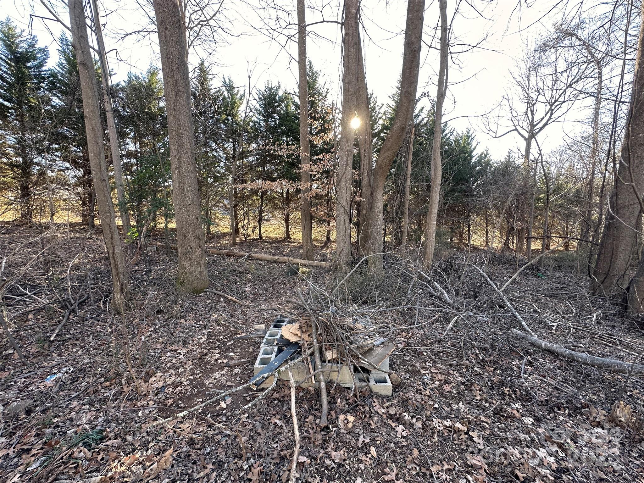 113 Highlander Street Property Photo 27