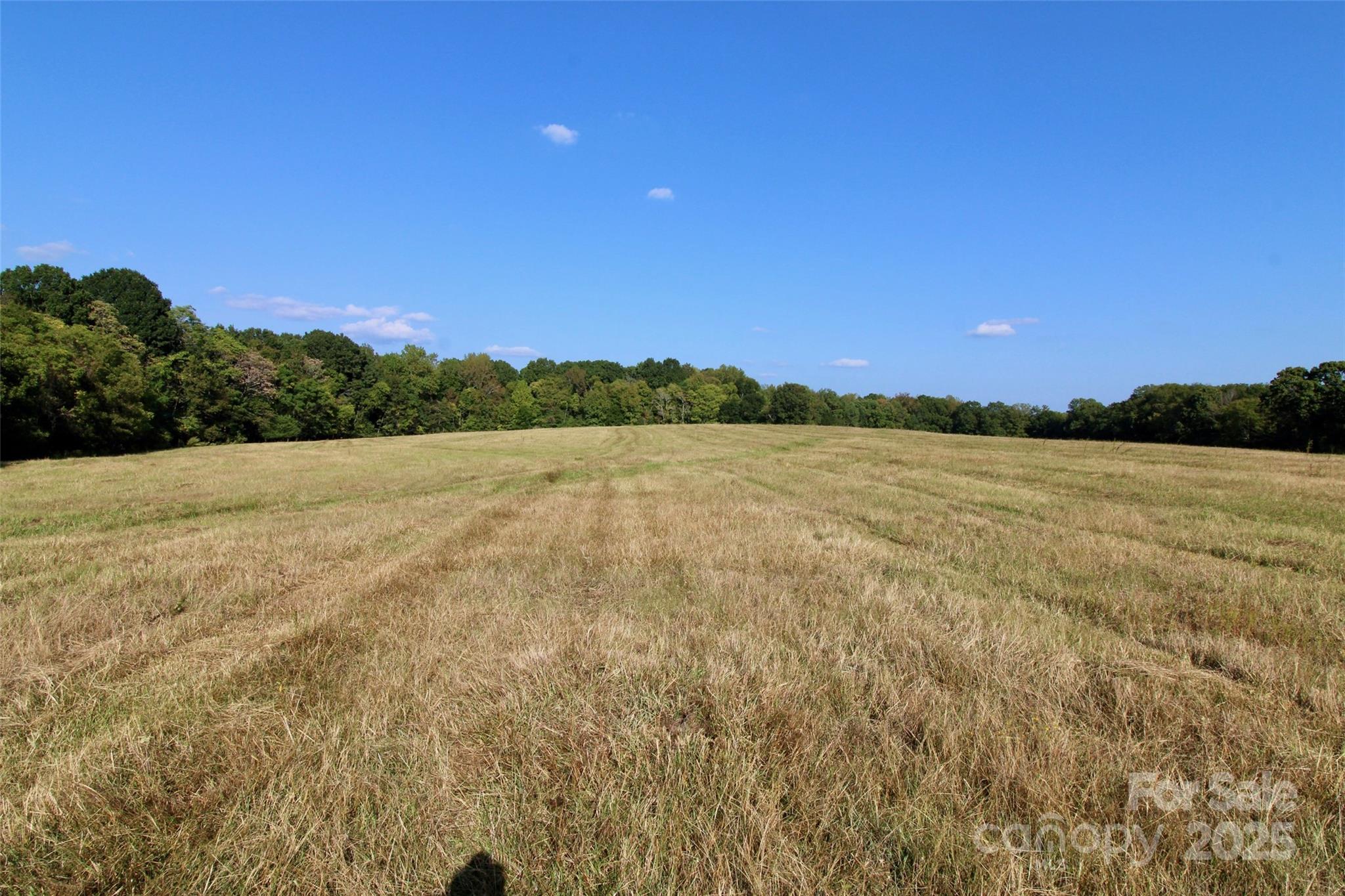 11+/- Ac Chester Highway Property Photo 1