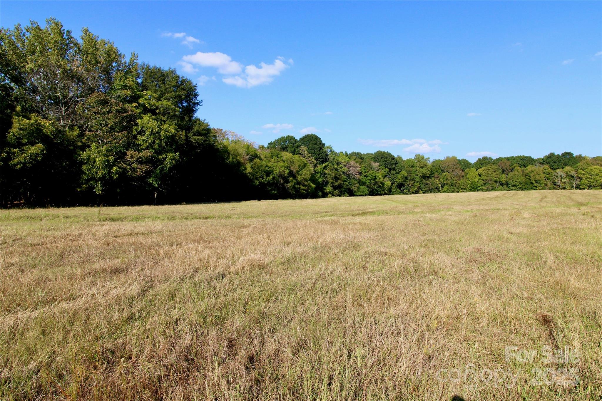11+/- Ac Chester Highway Property Photo 8