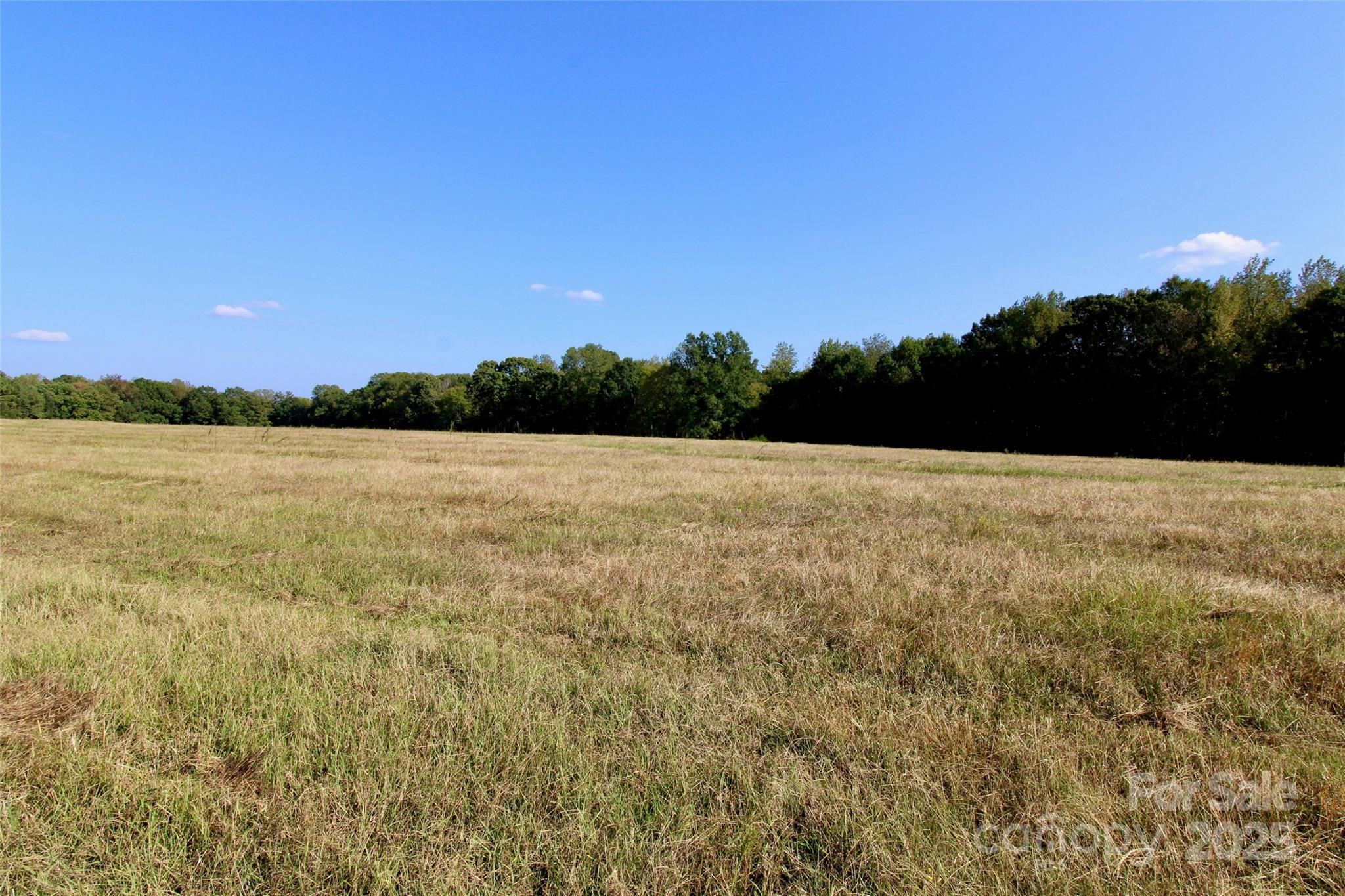 11+/- Ac Chester Highway Property Photo 9