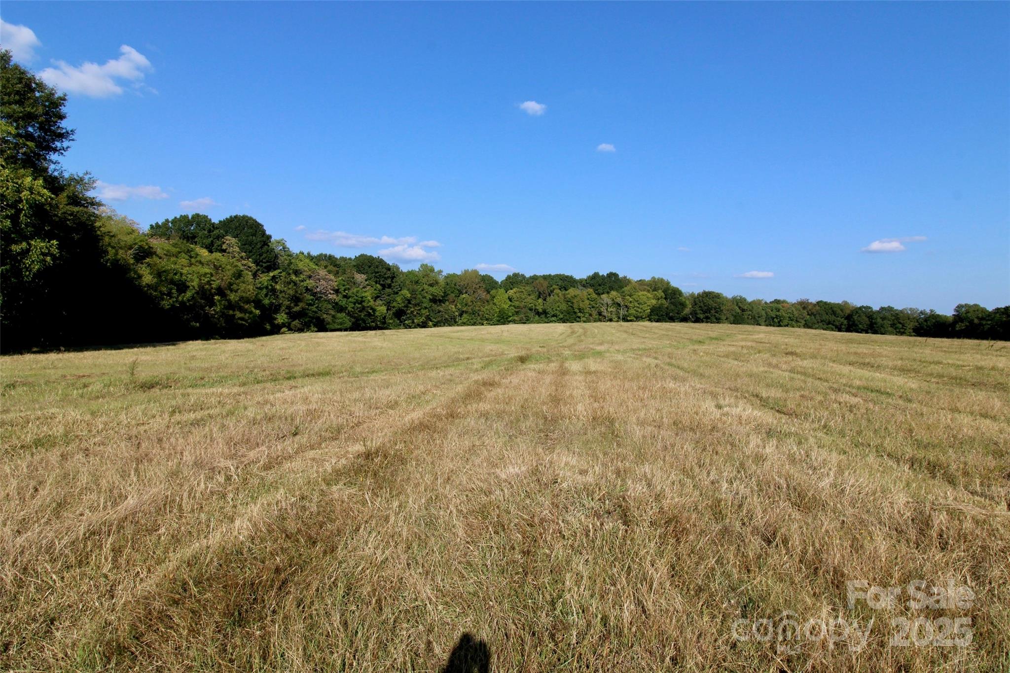 11+/- Ac Chester Highway Property Photo 11