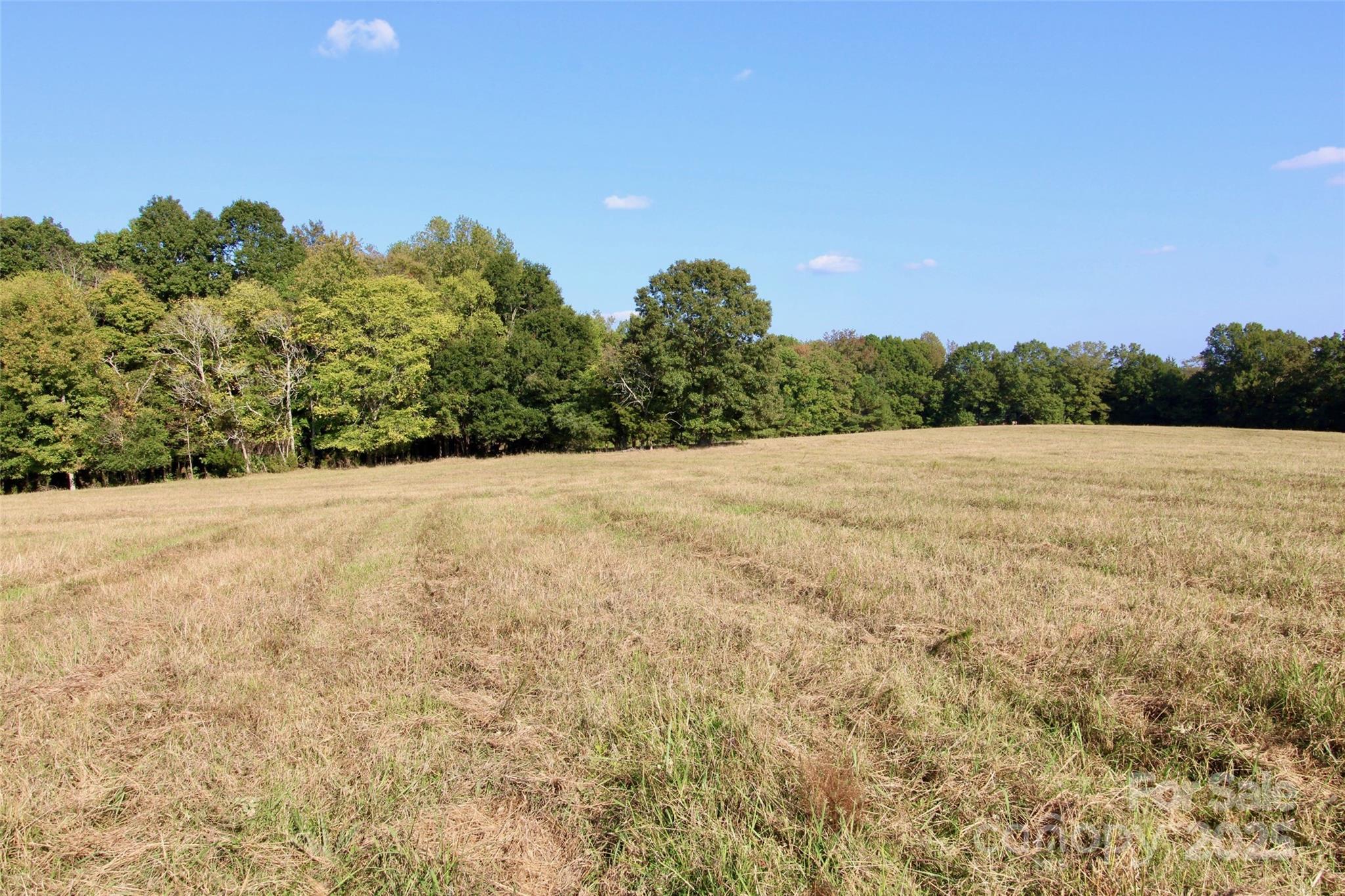 11+/- Ac Chester Highway Property Photo 13