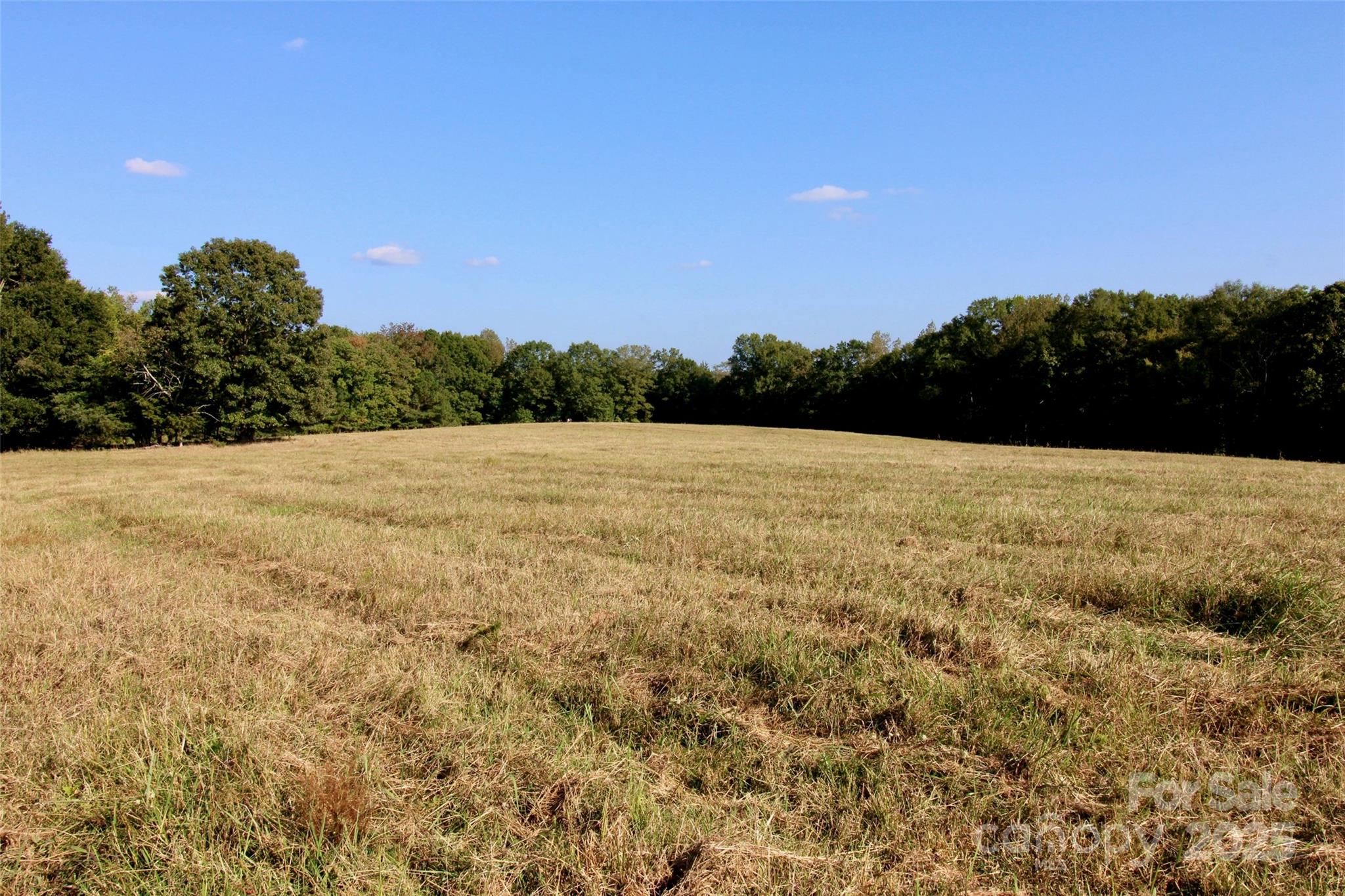 11+/- Ac Chester Highway Property Photo 14