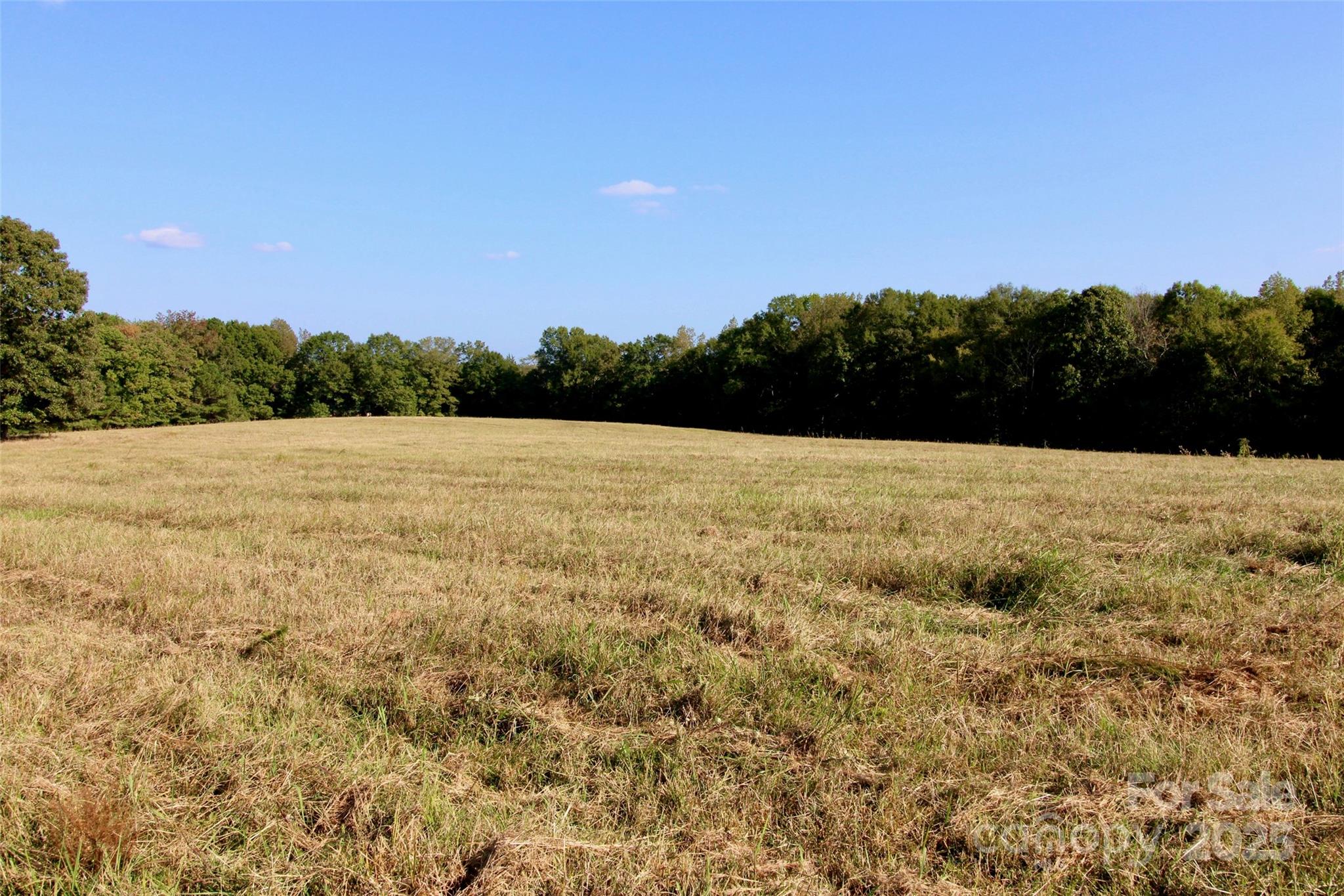 11+/- Ac Chester Highway Property Photo 15