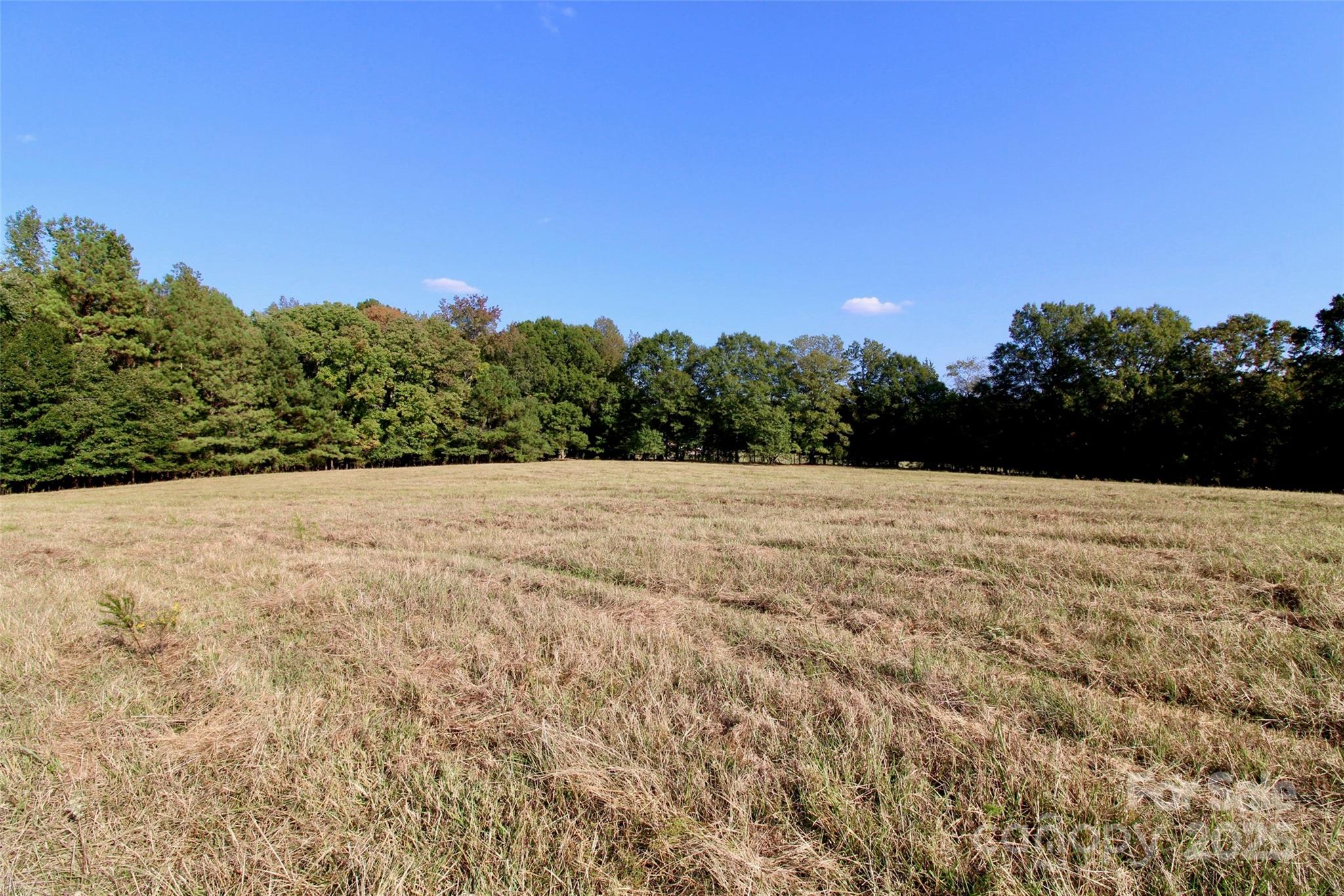 11+/- Ac Chester Highway Property Photo 16