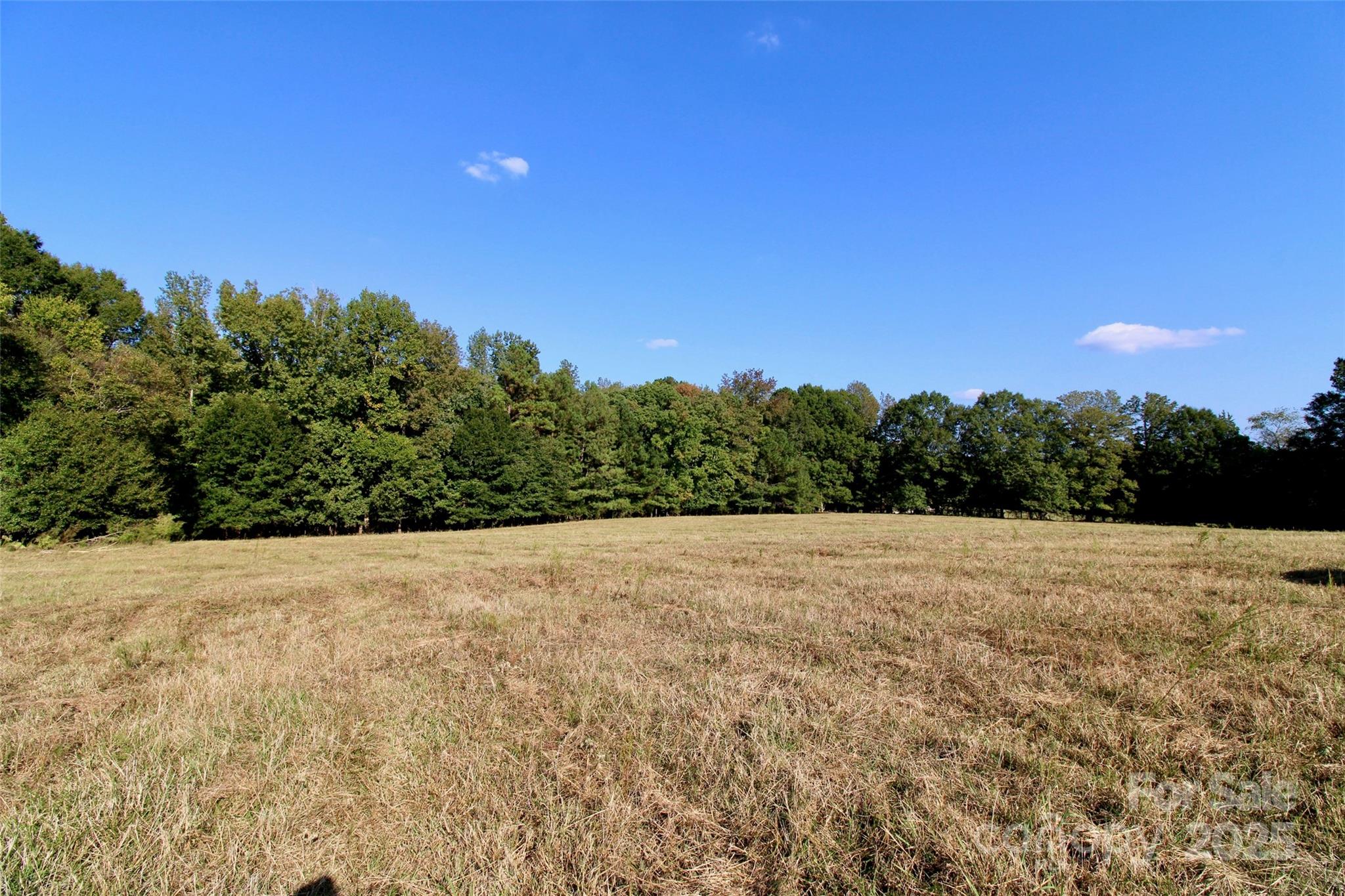 11+/- Ac Chester Highway Property Photo 17