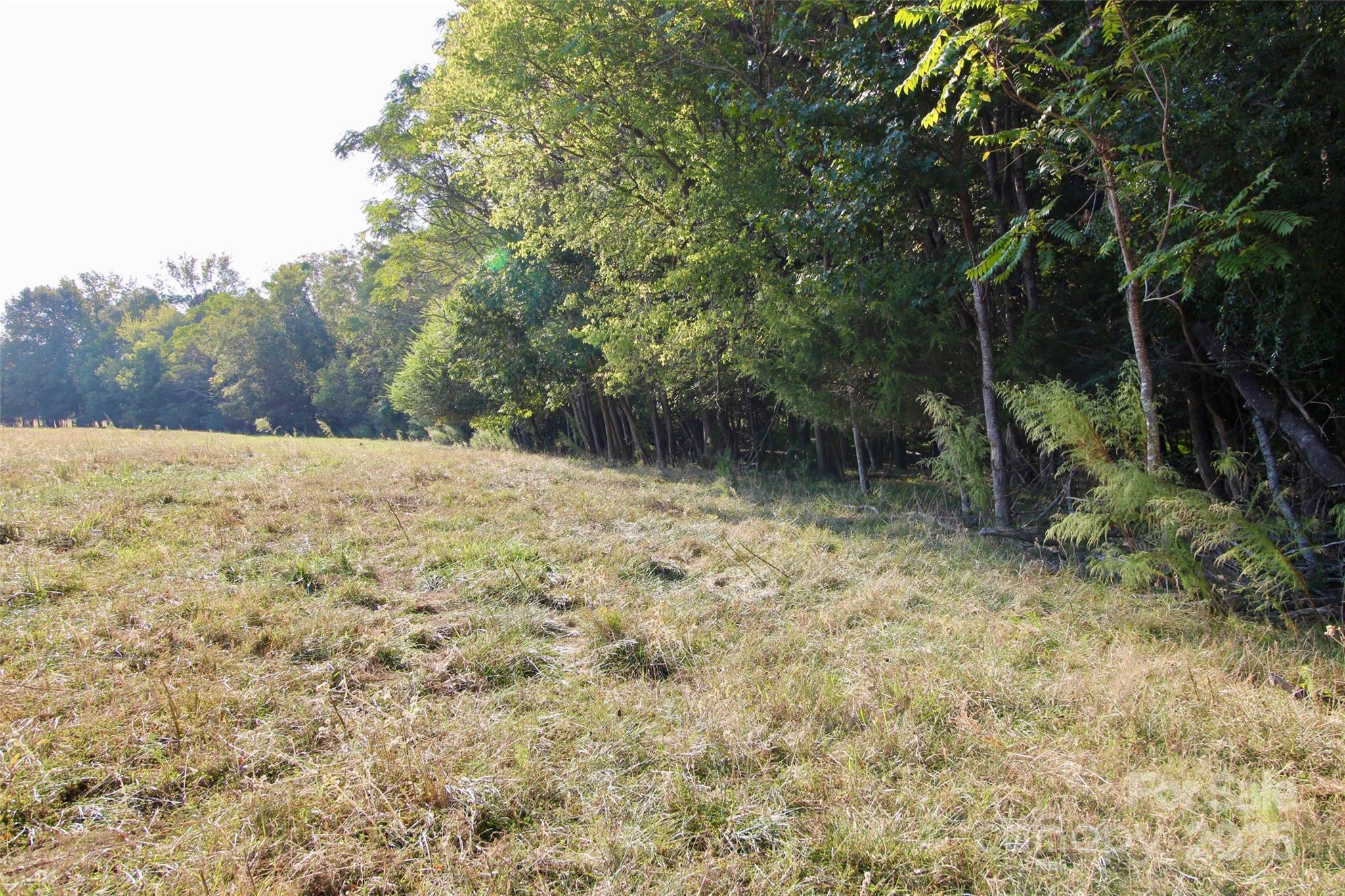 11+/- Ac Chester Highway Property Photo 18