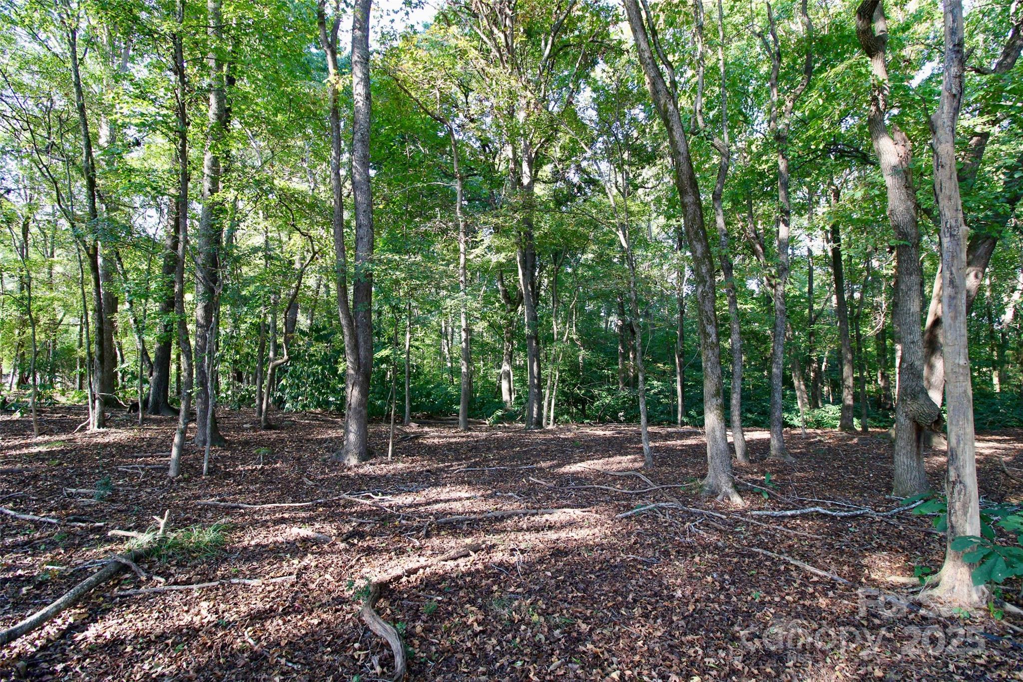 11+/- Ac Chester Highway Property Photo 20