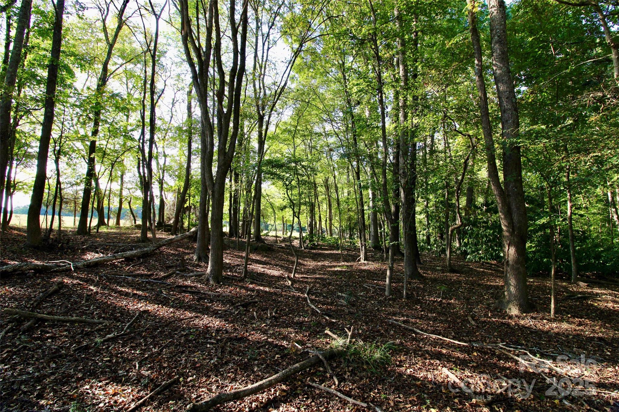 11+/- Ac Chester Highway Property Photo 21